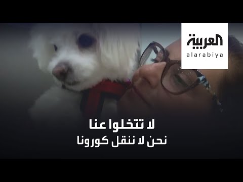 شاهد عيادة بيطرية في القاهرة تتبنى مبادرة إنسانية لحماية الحيوانات
